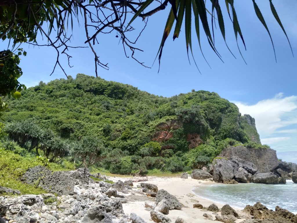 Pantai di Gunungkidul Recommanded Buat Camping Tahun Baru 2023