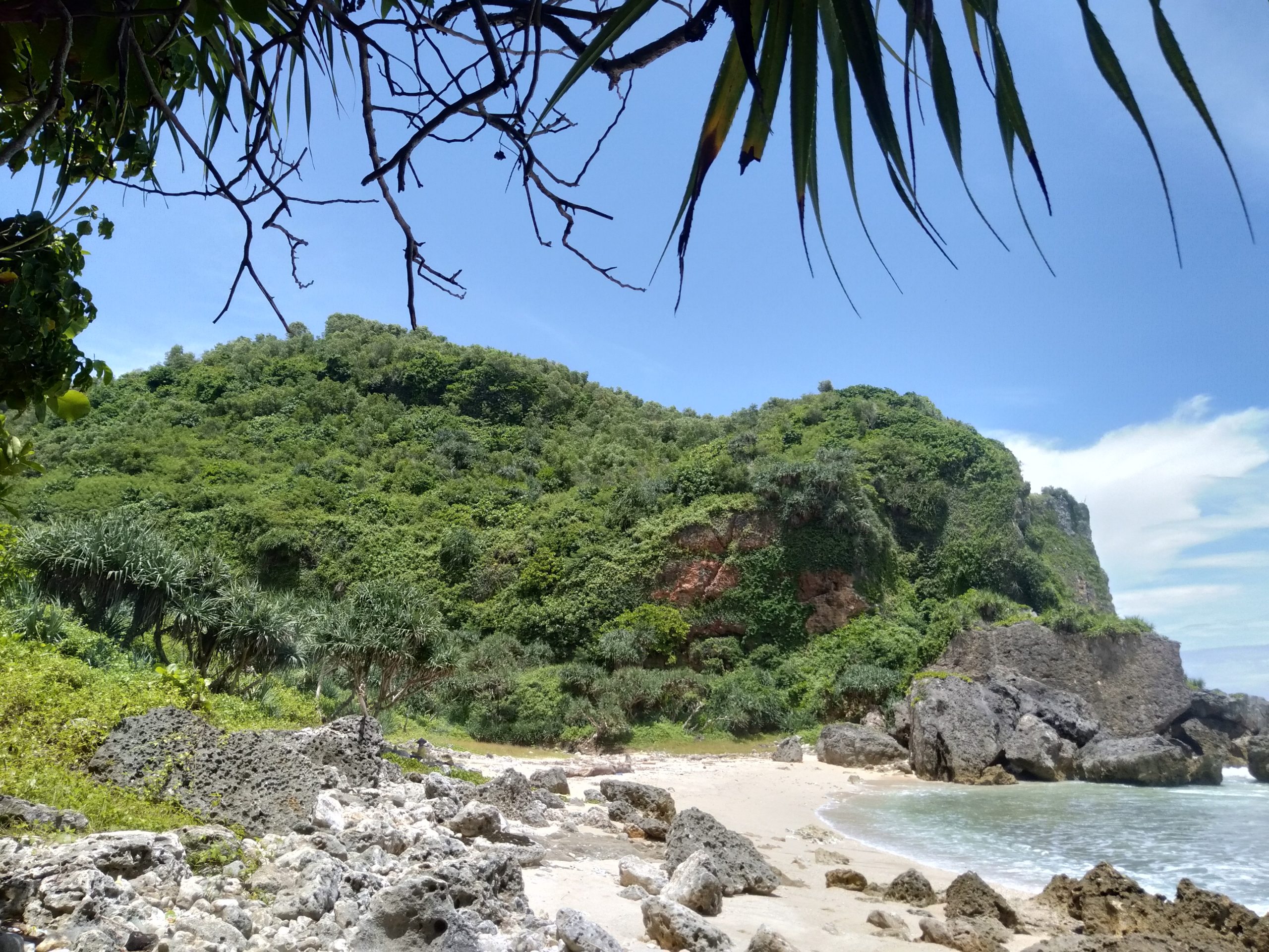 Pantai di Gunungkidul Recommanded Buat Camping Tahun Baru 2023