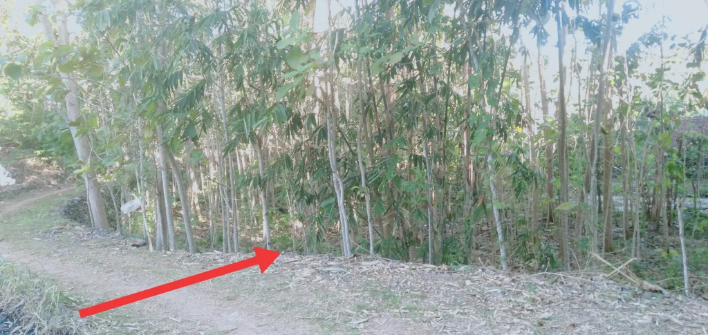 Tanah di jual di saptosari dekat dengan RSUD Saptosari Tanah di jual di Saptosari