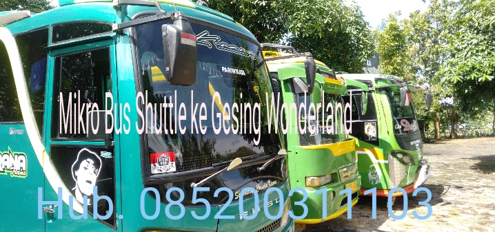 Shuttle Mikro bus ke Gesing Wonderland